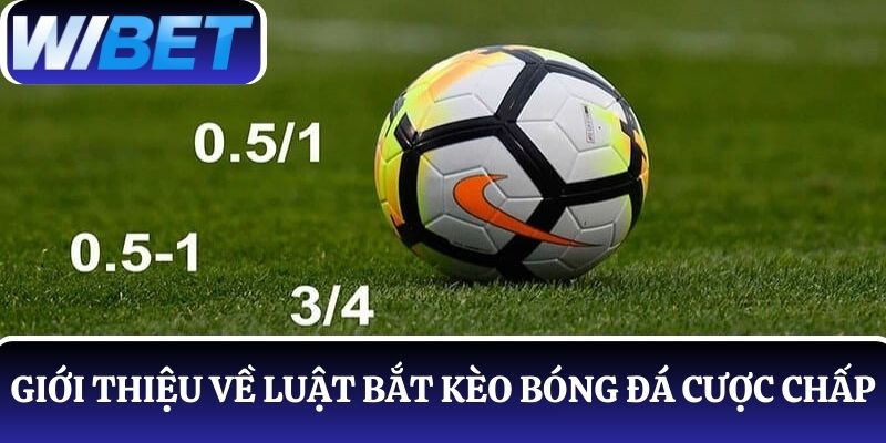 Giới thiệu về luật bắt kèo bóng đá cược chấp cần nắm rõ