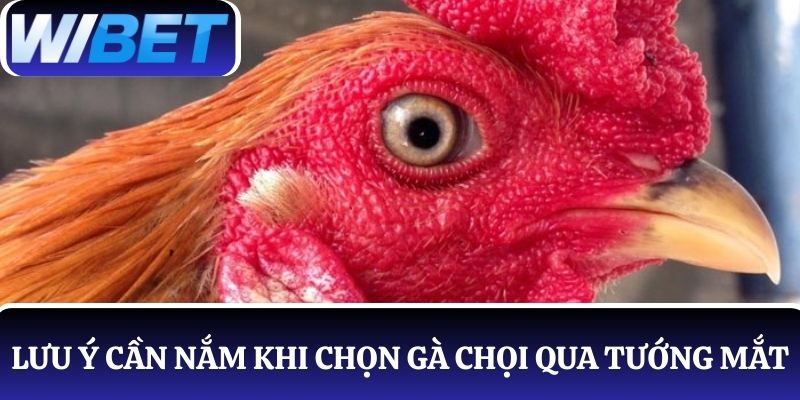 Lưu ý người chơi cần nắm khi chọn gà chọi qua tướng mắt